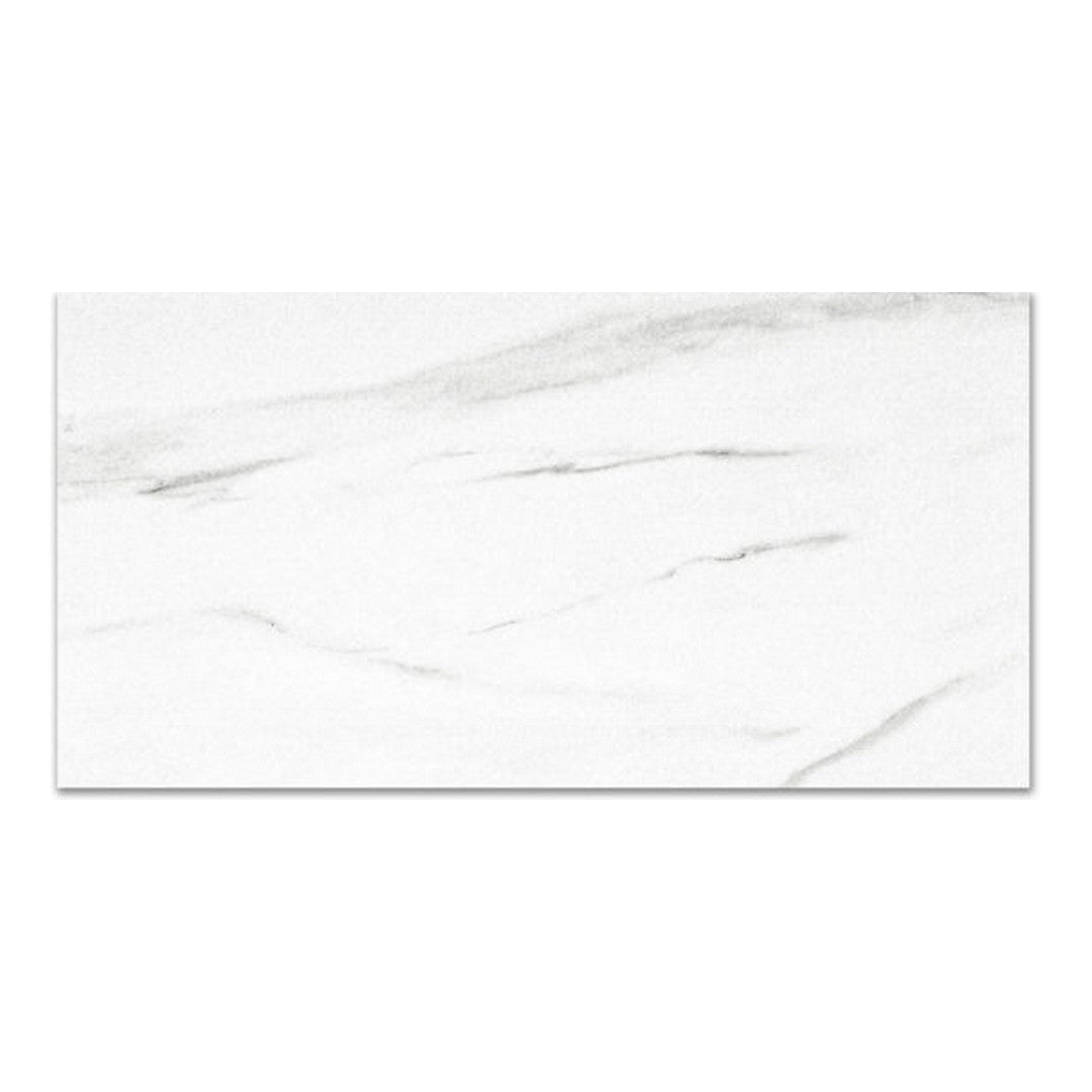 QC Ardor 24" x 48" Rectified Polished Porcelain Tile