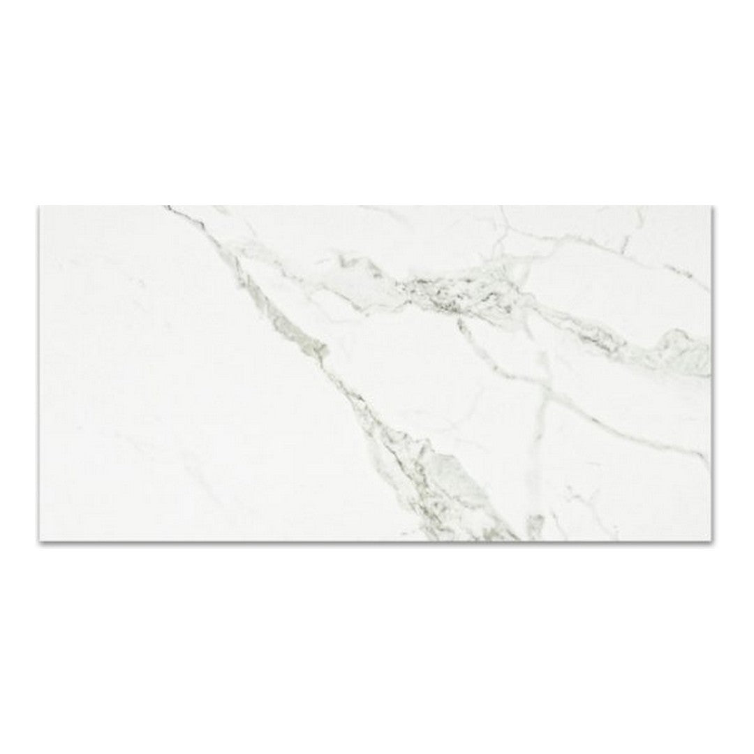 Qualis Ceramica Ardor 12" x 24" Rectified Matte Porcelain Tile