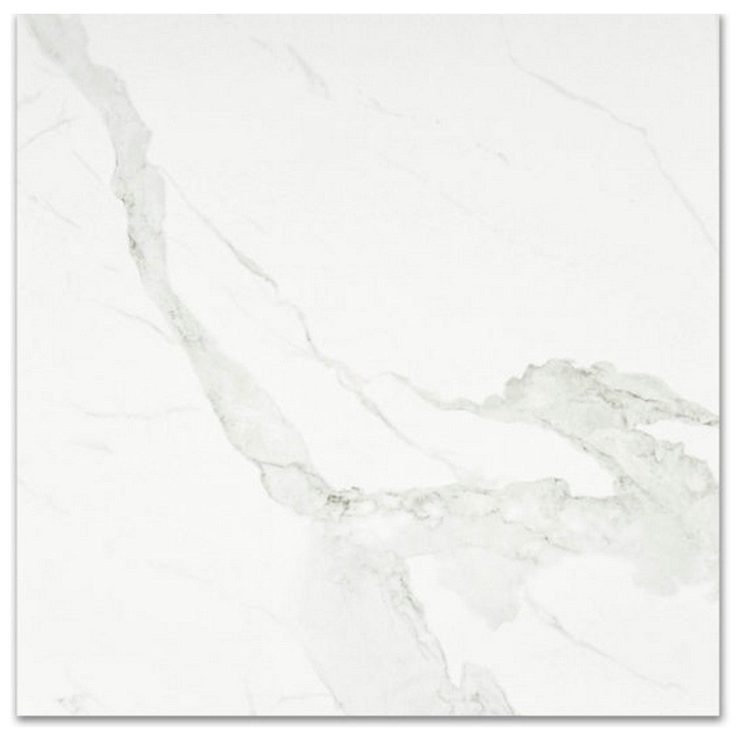 Qualis Ceramica Ardor 24" x 24" Rectified Matte Porcelain Tile