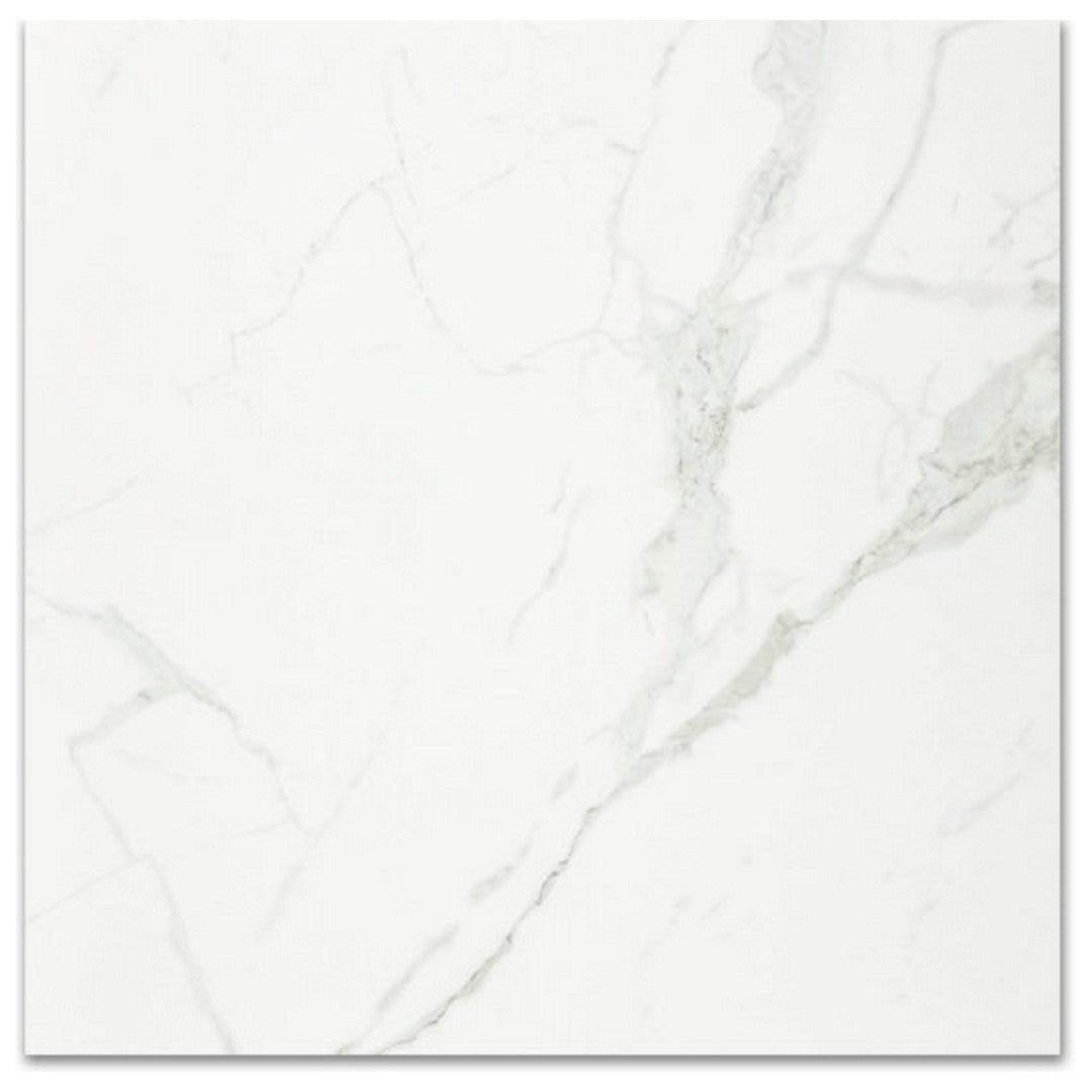 Qualis Ceramica Ardor 24" x 24" Rectified Polished Porcelain Tile