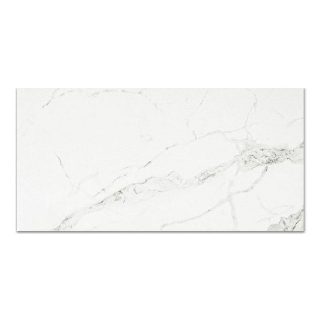 Qualis Ceramica Ardor 16" x 32" Rectified Polished Porcelain Tile