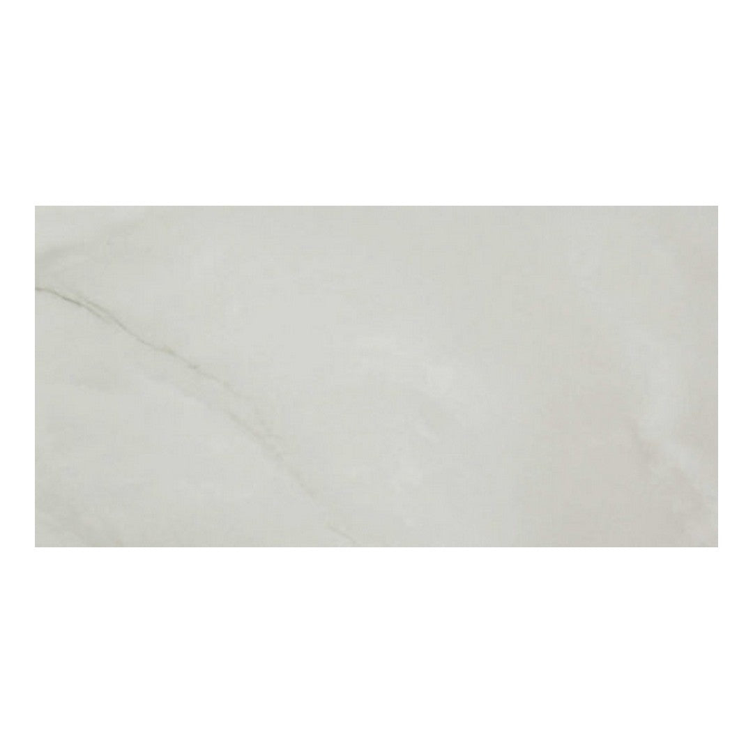 Qualis Ceramica Luxury 24" x 48" Rectified Honed Porcelain Tile