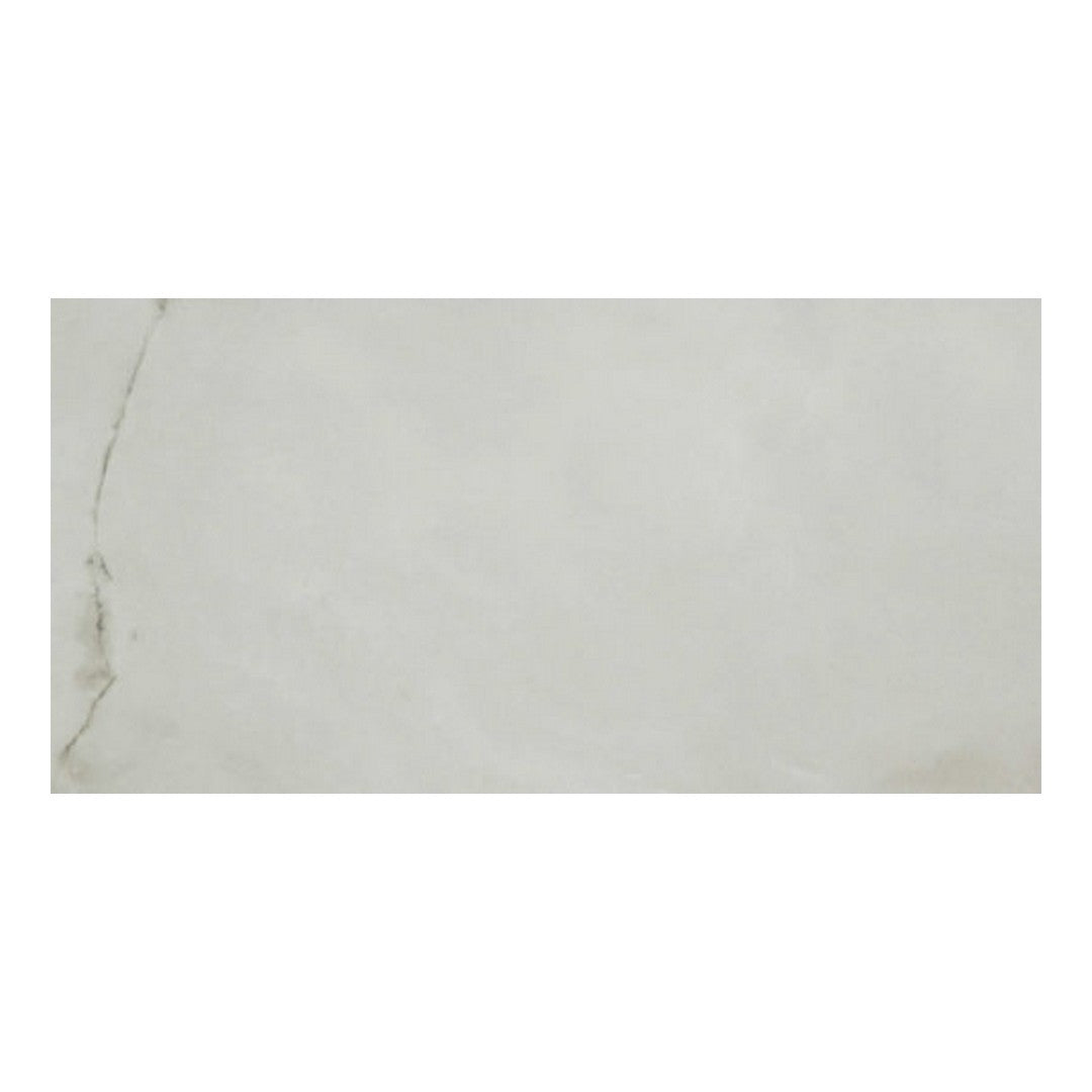 Qualis Ceramica Luxury 24" x 48" Rectified Polished Porcelain Tile
