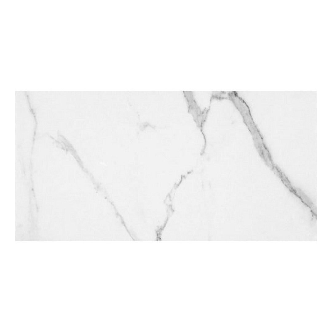 Qualis Ceramica Luxury 24" x 48" Rectified Honed Porcelain Tile