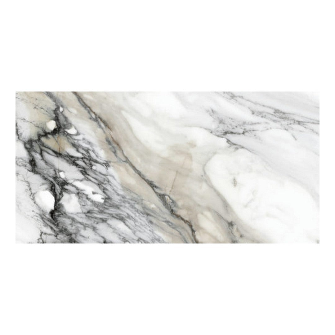Qualis Ceramica Mystique 24" x 48" Rectified Matte Porcelain Tile