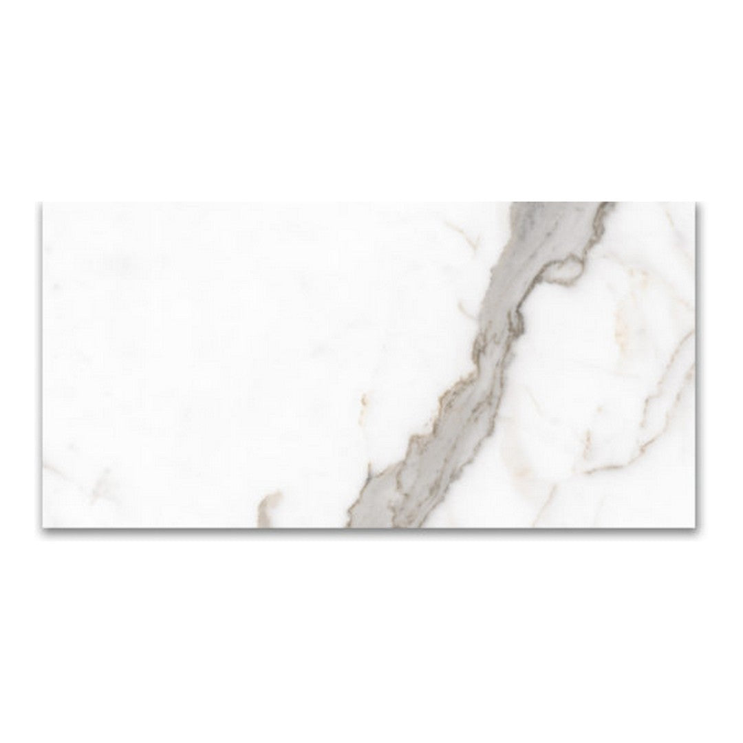 Qualis Ceramica Mystique 24" x 48" Rectified Polished Porcelain Tile