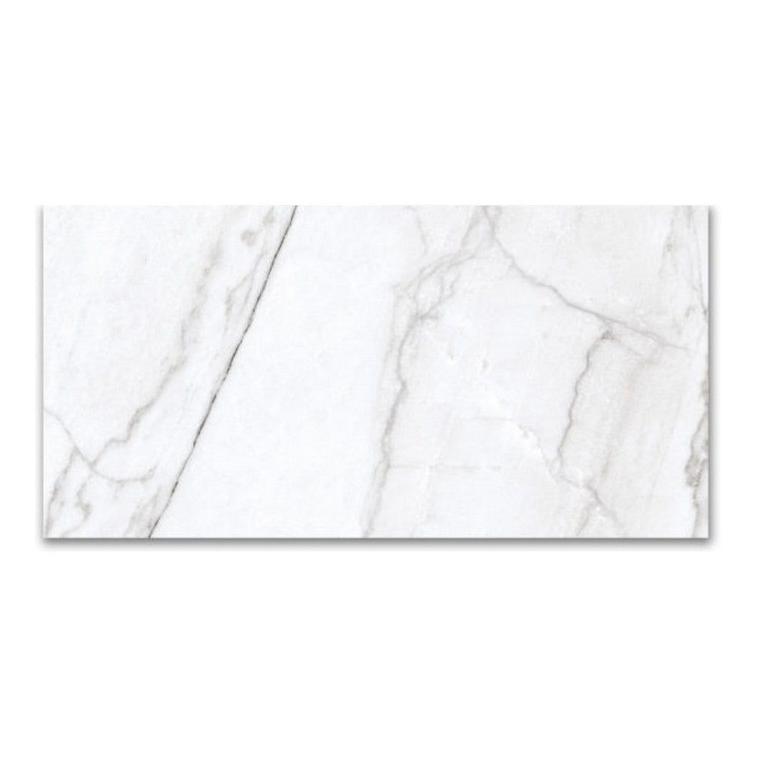 Qualis Ceramica Mystique 12" x 24" Rectified Matte Porcelain Tile