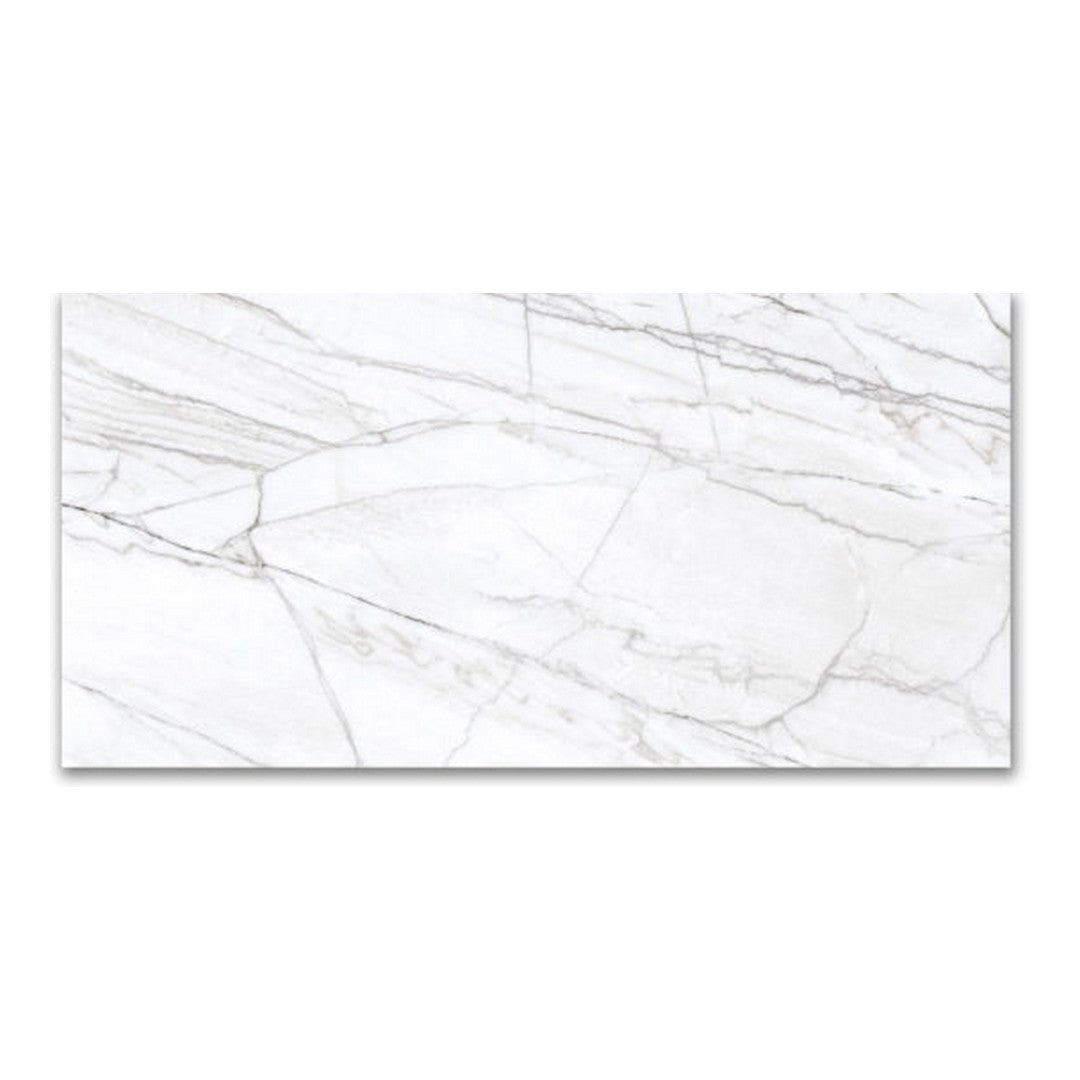 Qualis Ceramica Mystique 24" x 48" Rectified Matte Porcelain Tile