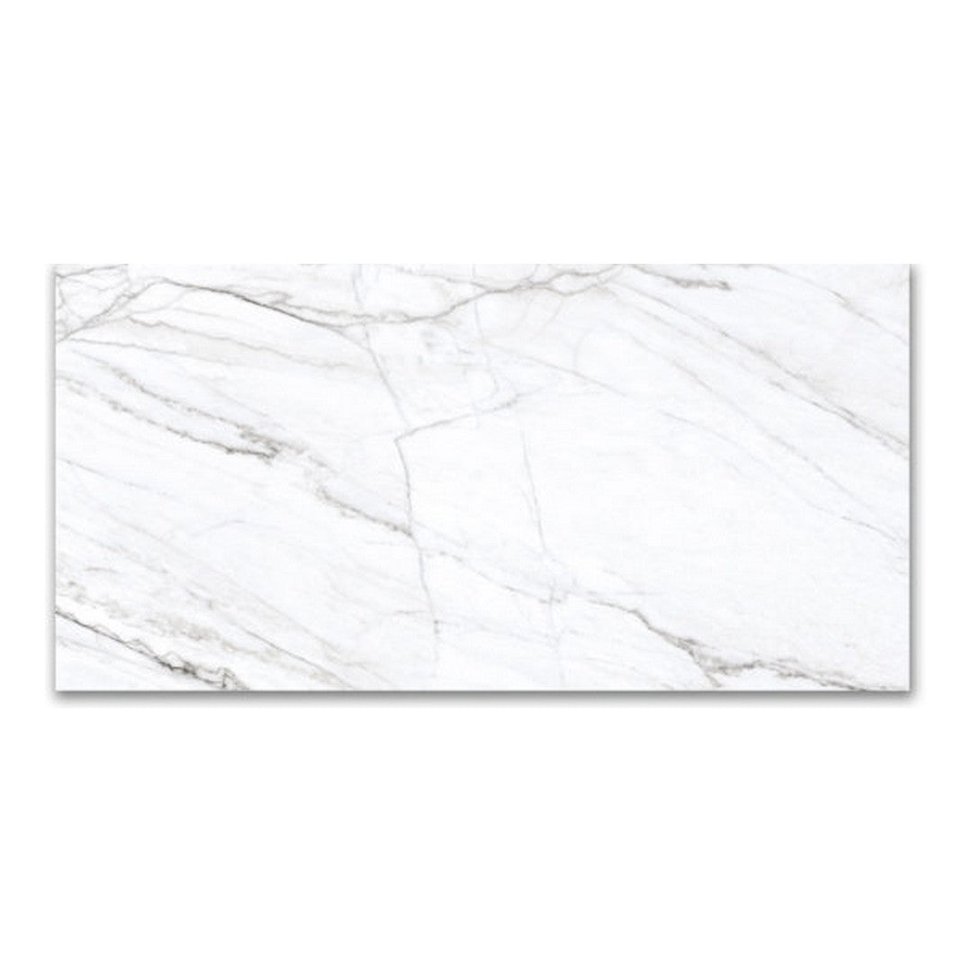 Qualis Ceramica Mystique 24" x 48" Rectified Polished Porcelain Tile