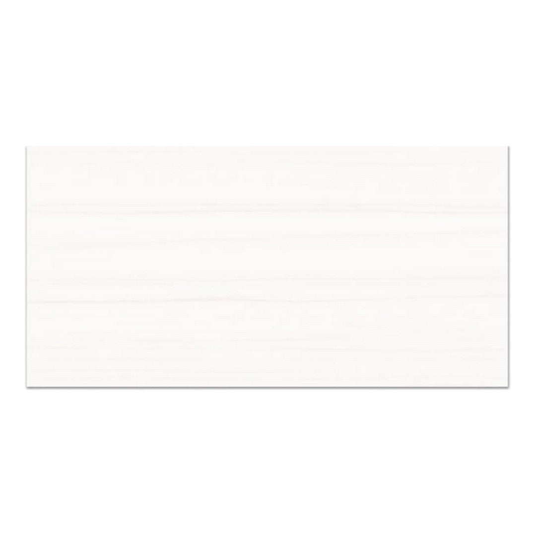 Qualis Ceramica Treasure 24" x 48" Polished Porcelain Tile