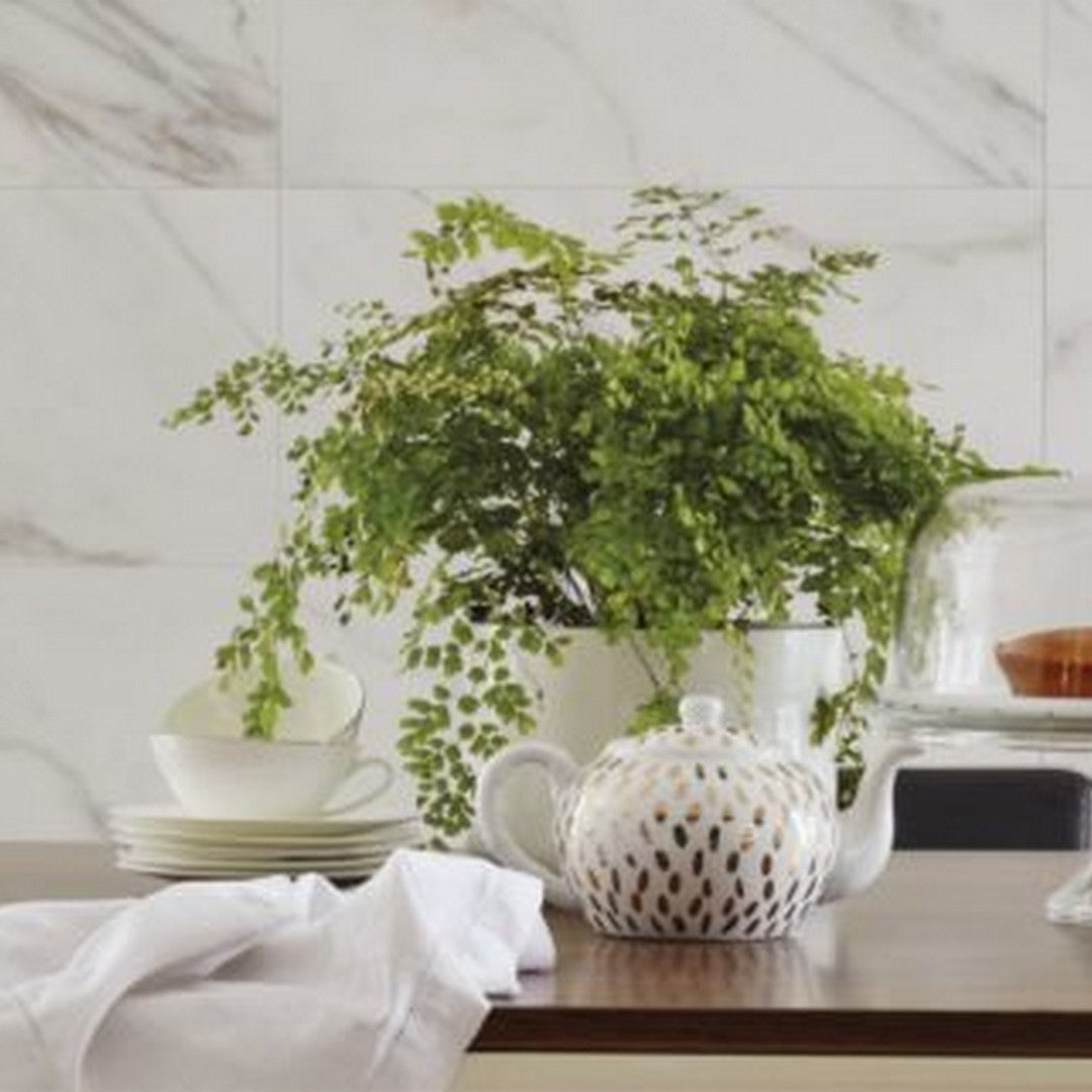 Qualis-Ceramica-Verona-12-x-24-Polished-Porcelain-Tile-Golden-Calacat