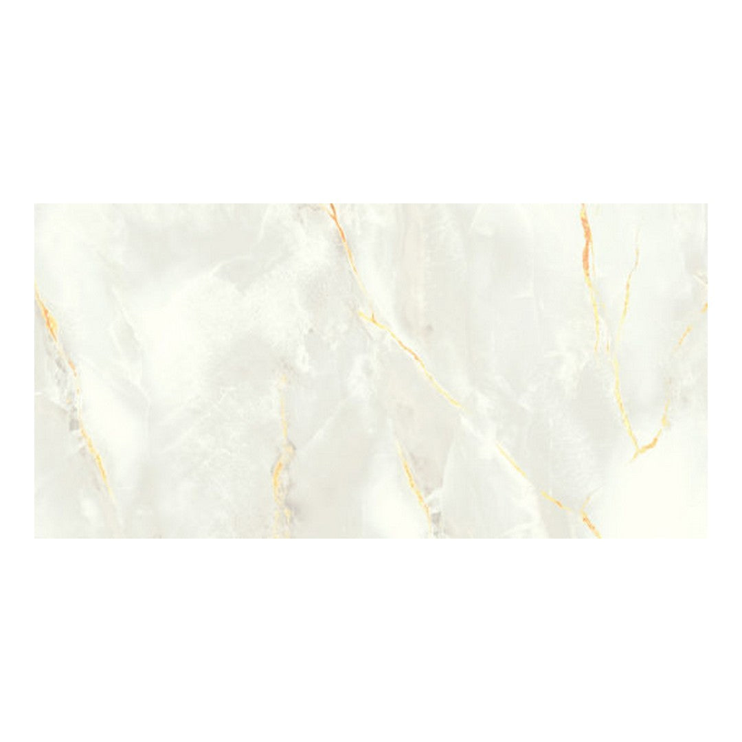 Qualis Ceramica Venezia 12" x 24" Matte Porcelain Tile