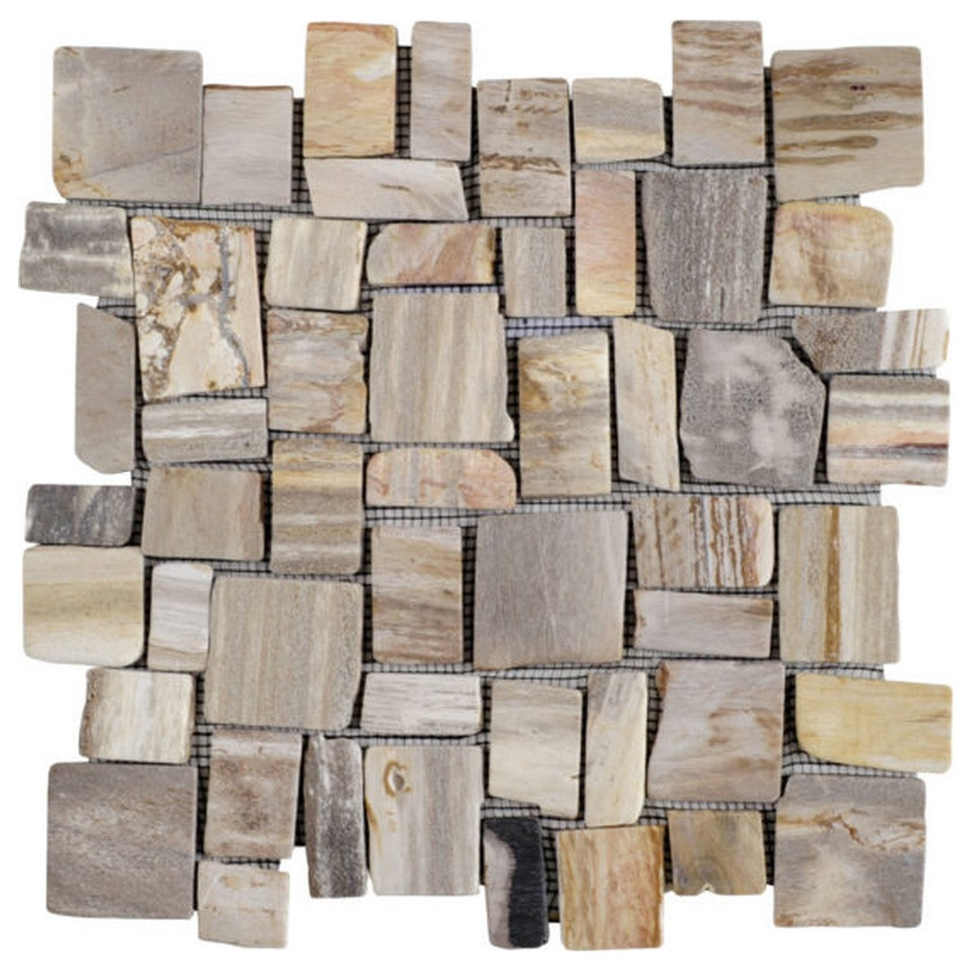 Qualis Ceramica Chelsea 12" x 12" Natural Stone Cubic Fossil Wood Stone Mosaic