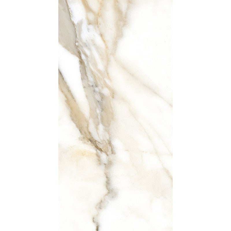 Rickert Fanal 24" x 48" Polished Porcelain Tile