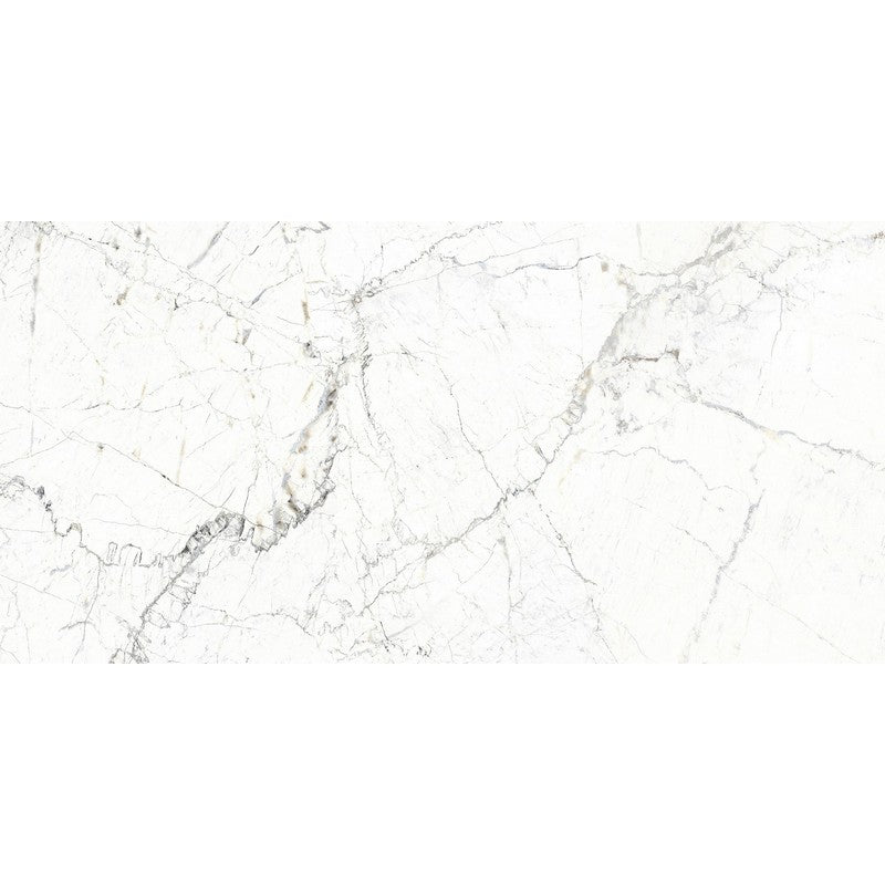 Rickert Fanal Windsor 24" x 48" Polished Porcelain Tile