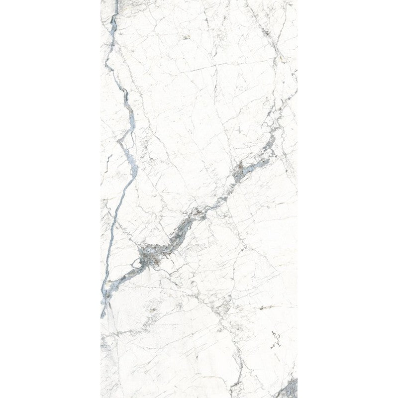 Rickert Fanal Windsor 24" x 48" Polished Porcelain Tile