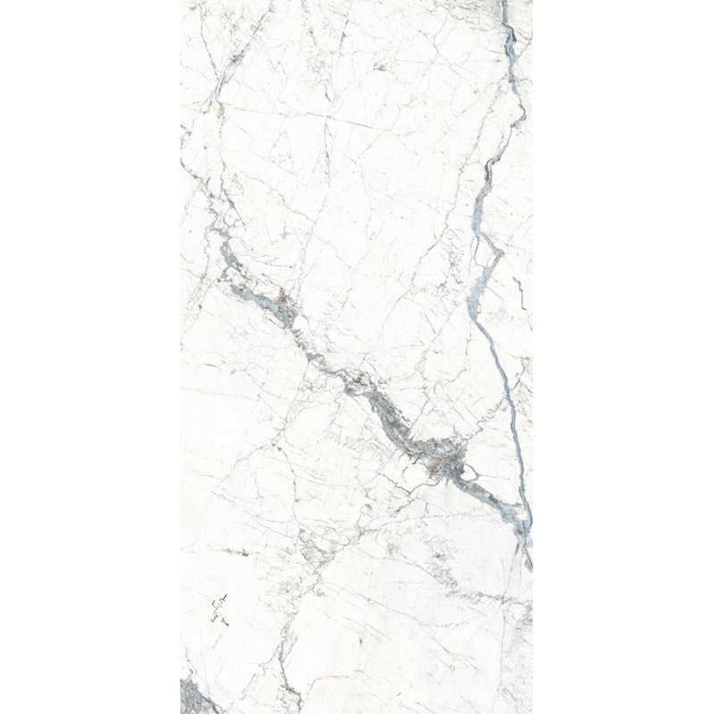 Rickert Fanal Windsor 24" x 48" Polished Porcelain Tile