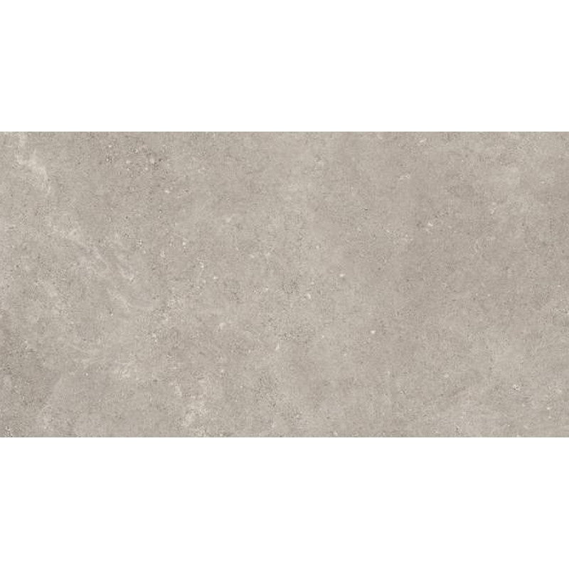Rickert Refin Coquille 24" x 48" Matte Porcelain Stoneware Tile