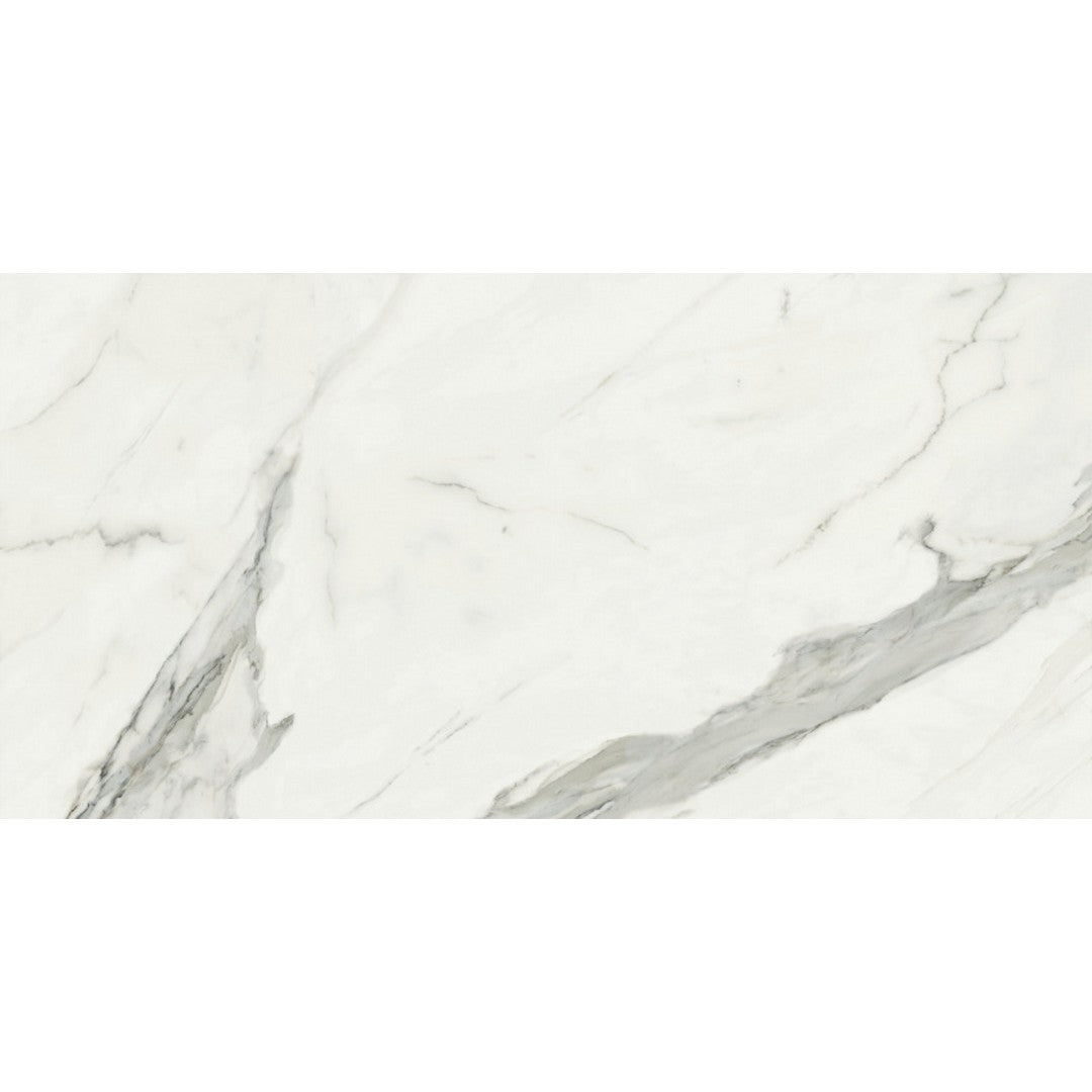 Rickert Baldocer 24" x 48" Porcelain Tile
