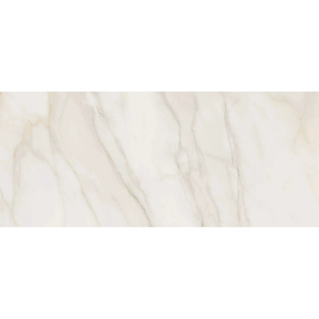 Rickert Pamesa 12" x 24" Polished Porcelain Tile
