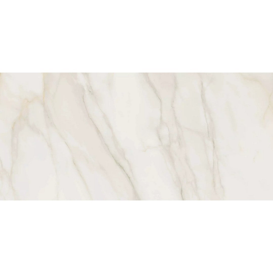 Rickert Pamesa 24" x 48" Polished Porcelain Tile
