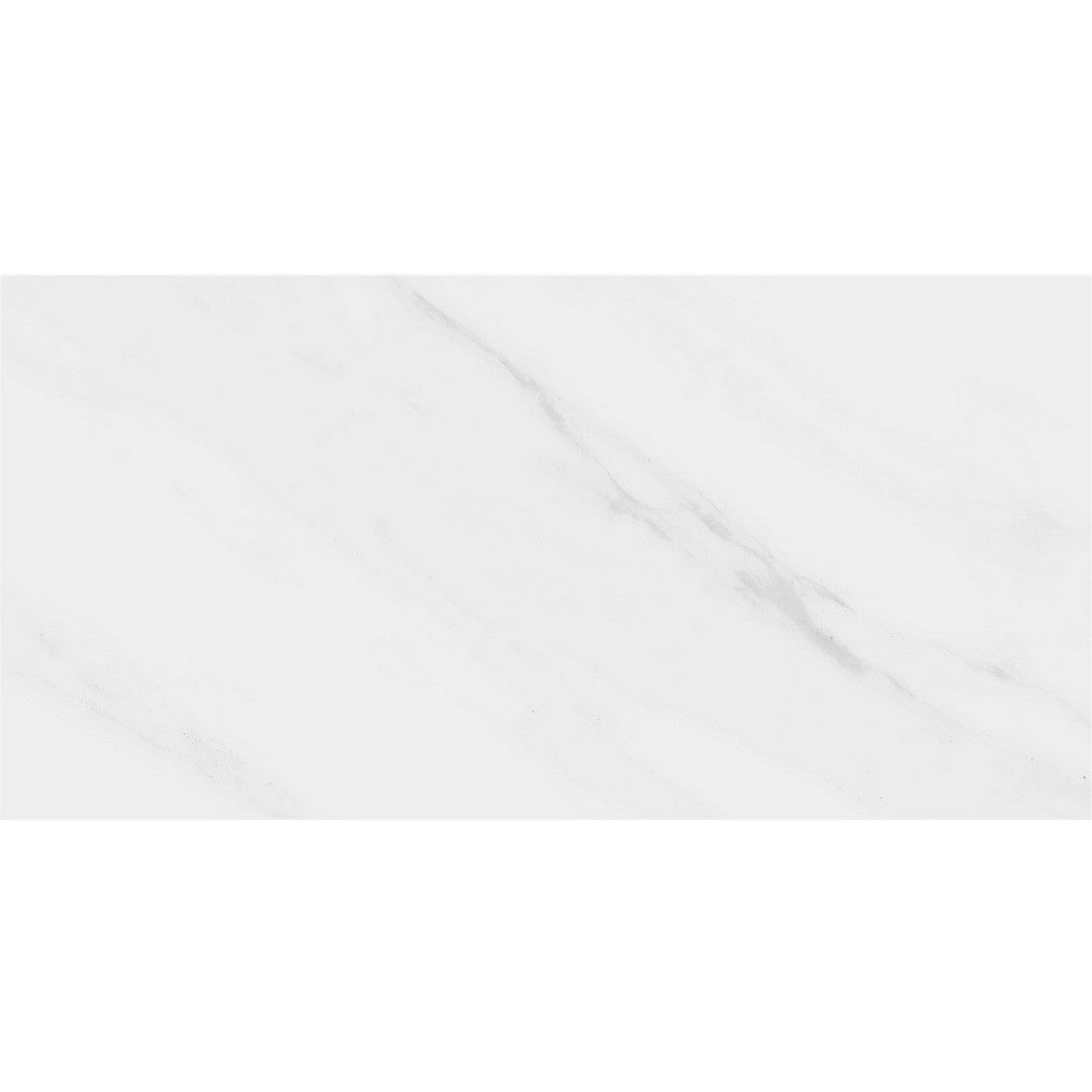 Rickert Pamesa 12" x 24" Polished Porcelain Tile