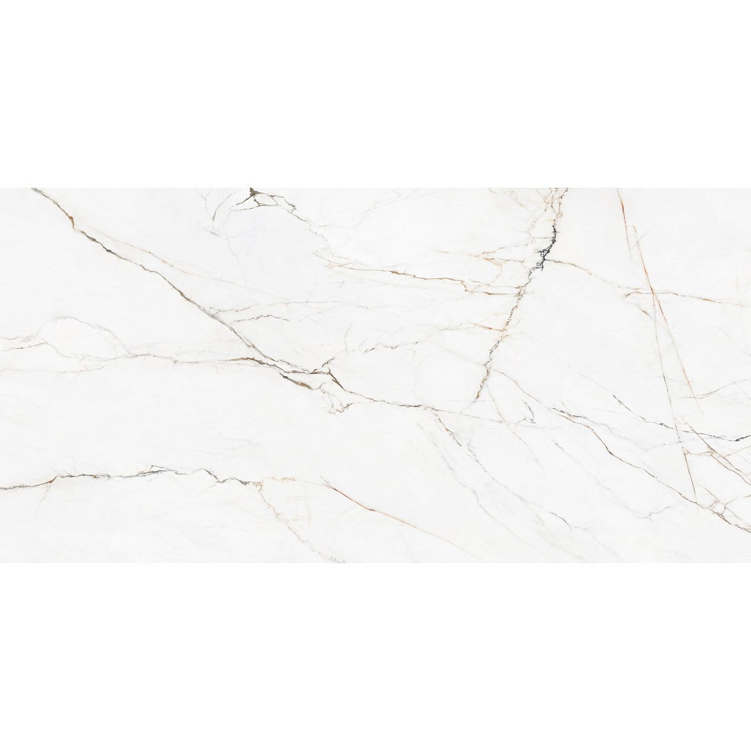 Rickert Pamesa 12" x 24" Polished Porcelain Tile