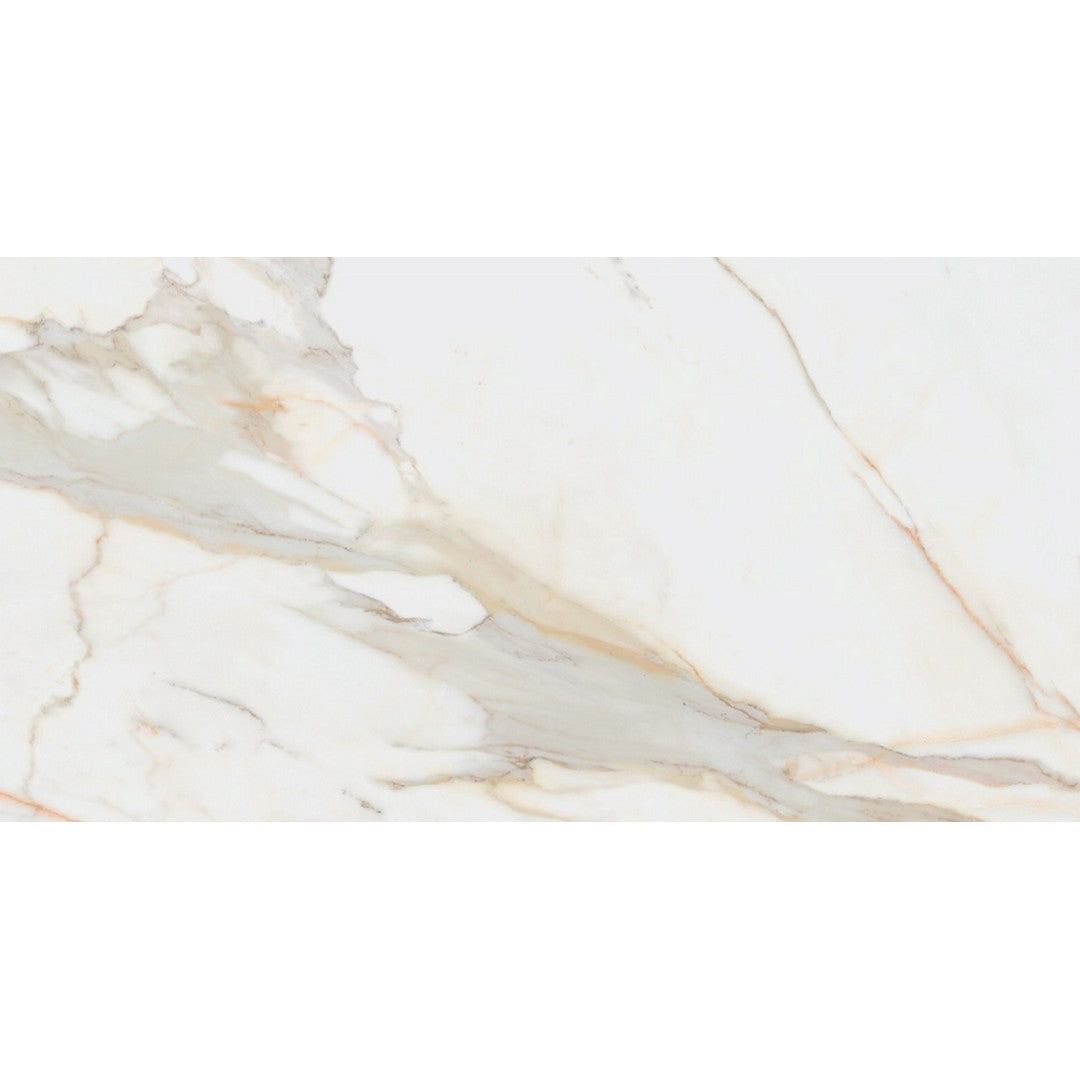 Rickert Pamesa 12" x 24" Polished Porcelain Tile