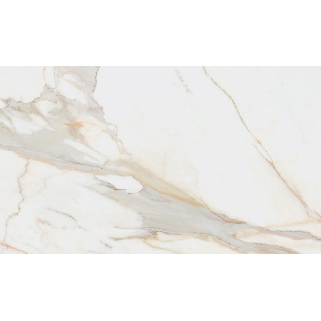 Rickert Pamesa 24" x 48" Polished Porcelain Tile
