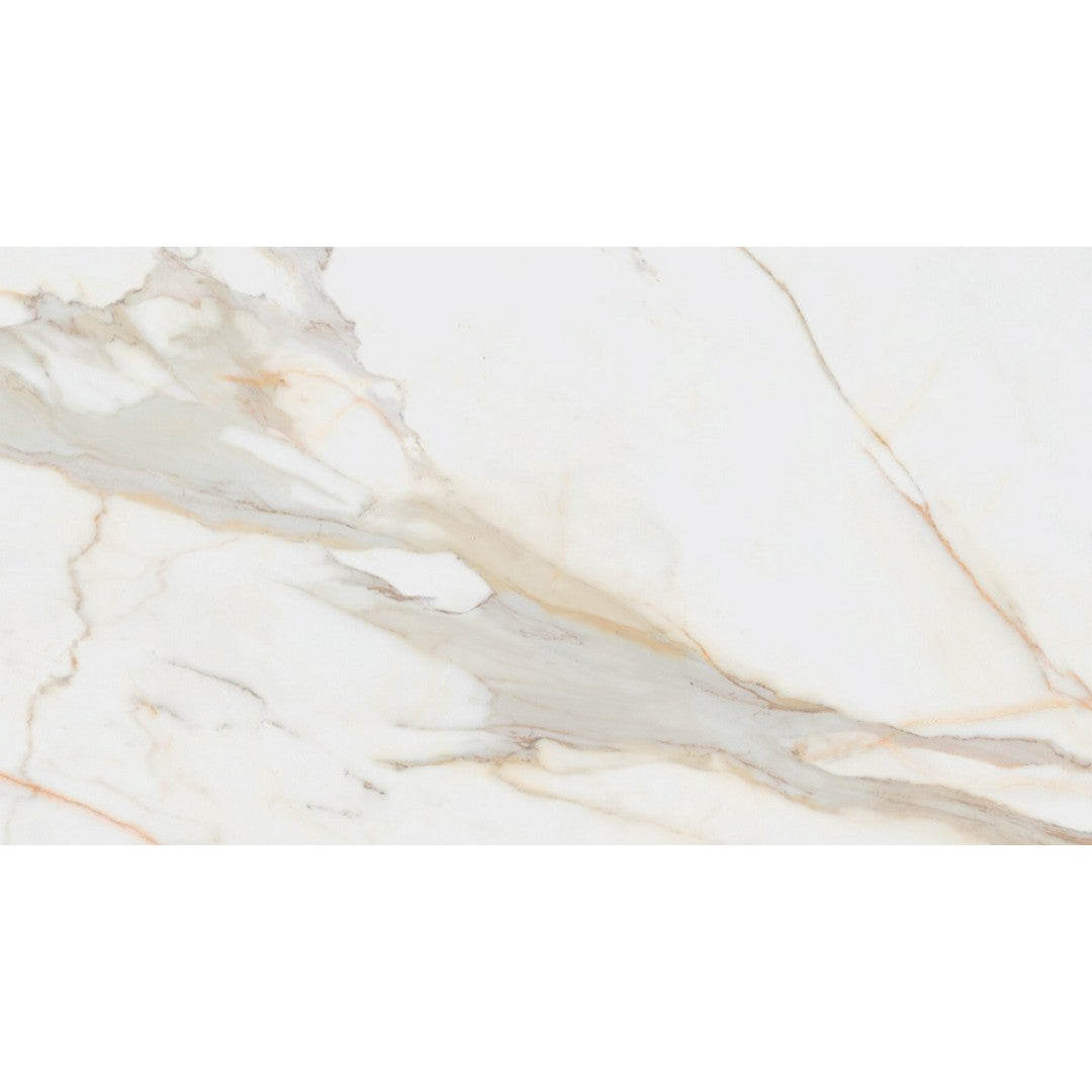Rickert Pamesa 12" x 24" Matte Porcelain Tile
