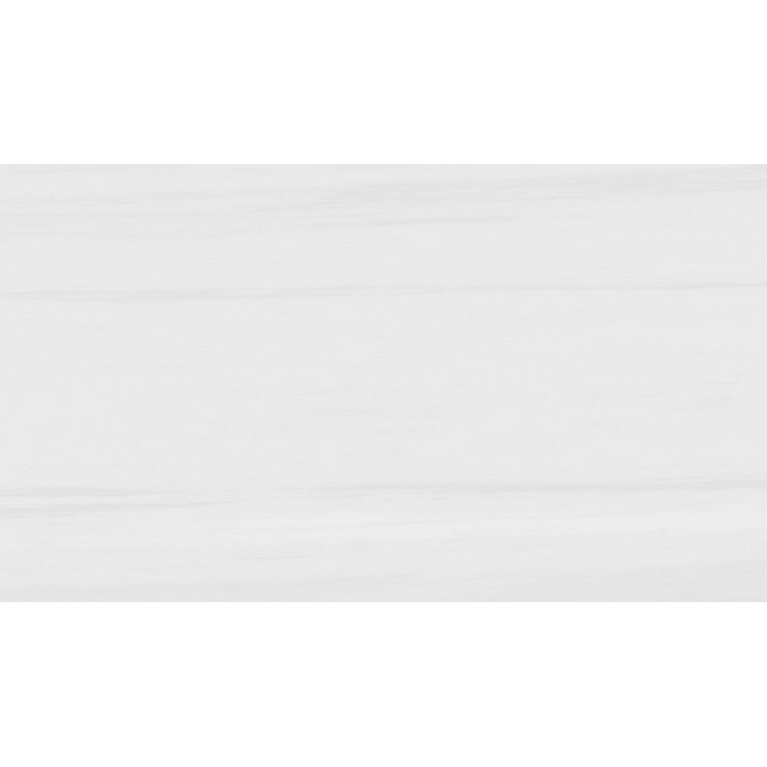 Rickert Pamesa 12" x 24" Polished Porcelain Tile