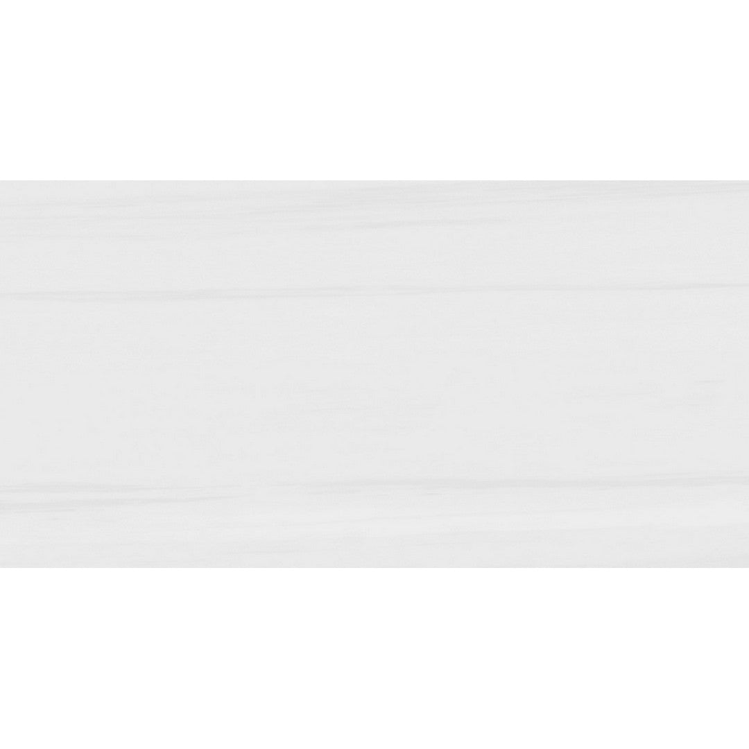 Rickert Pamesa 24" x 48" Polished Porcelain Tile