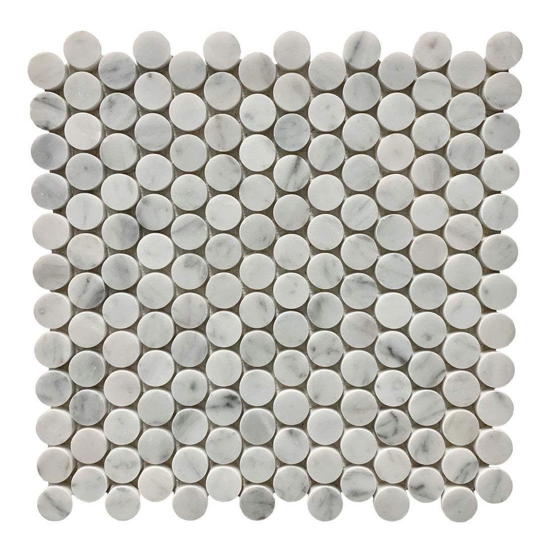 Rickert 12" x 12" Polished Marble 1" Penny Round Mosaic