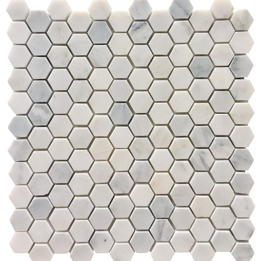 Rickert Oriental 12" x 12" Polished Marble 1" Hexagon Mosaic