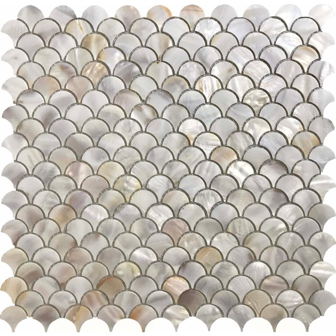 Ottimo Shell 12" x 12" Glossy Oyster Scales Mosaic