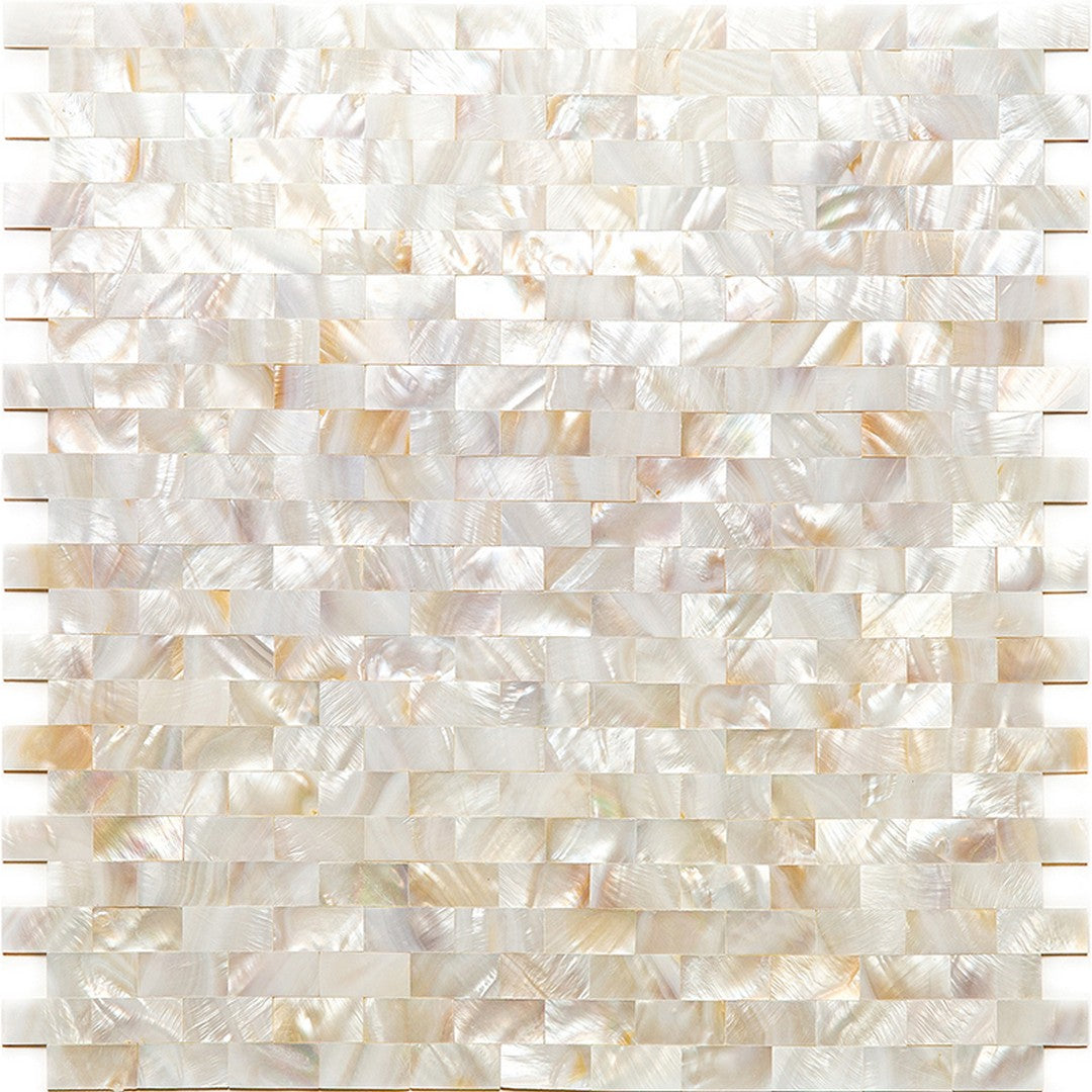 MiR Shell 11.3" x 11.8" Polished Shell Mosaic