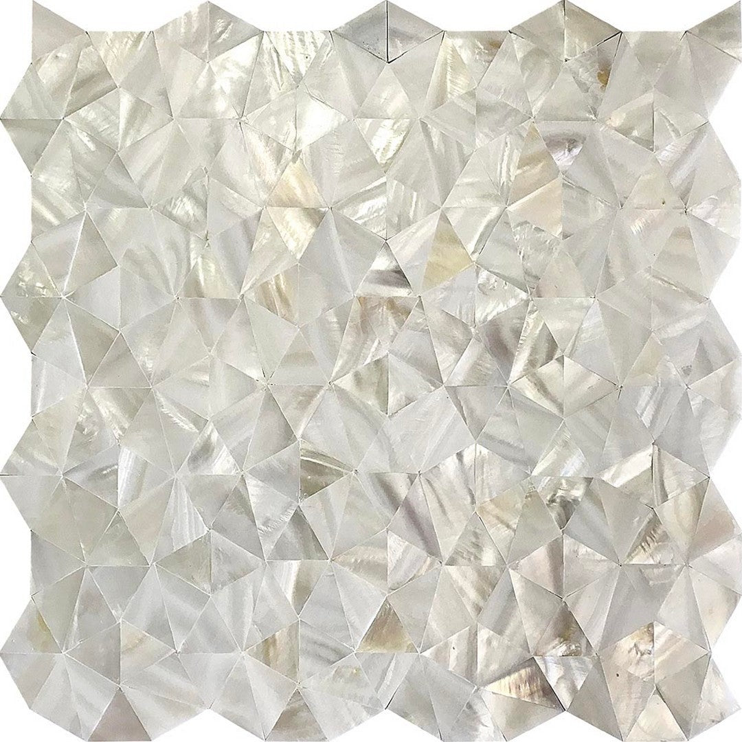 MiR Shell 11.8" x 11.8" Polished Shell Mosaic