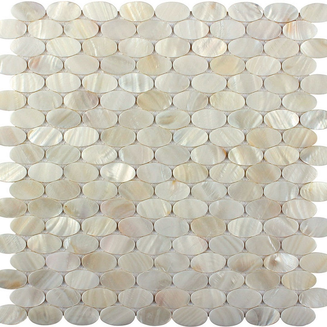 MiR Shell 11.2" x 12" Polished Shell Mosaic