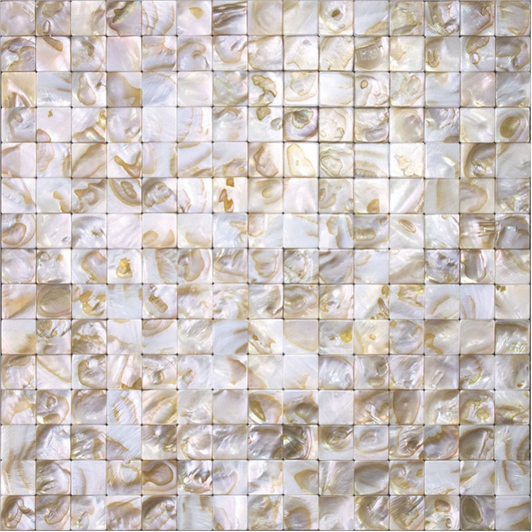 MiR Shell 11.8" x 11.8" Polished Shell Mosaic