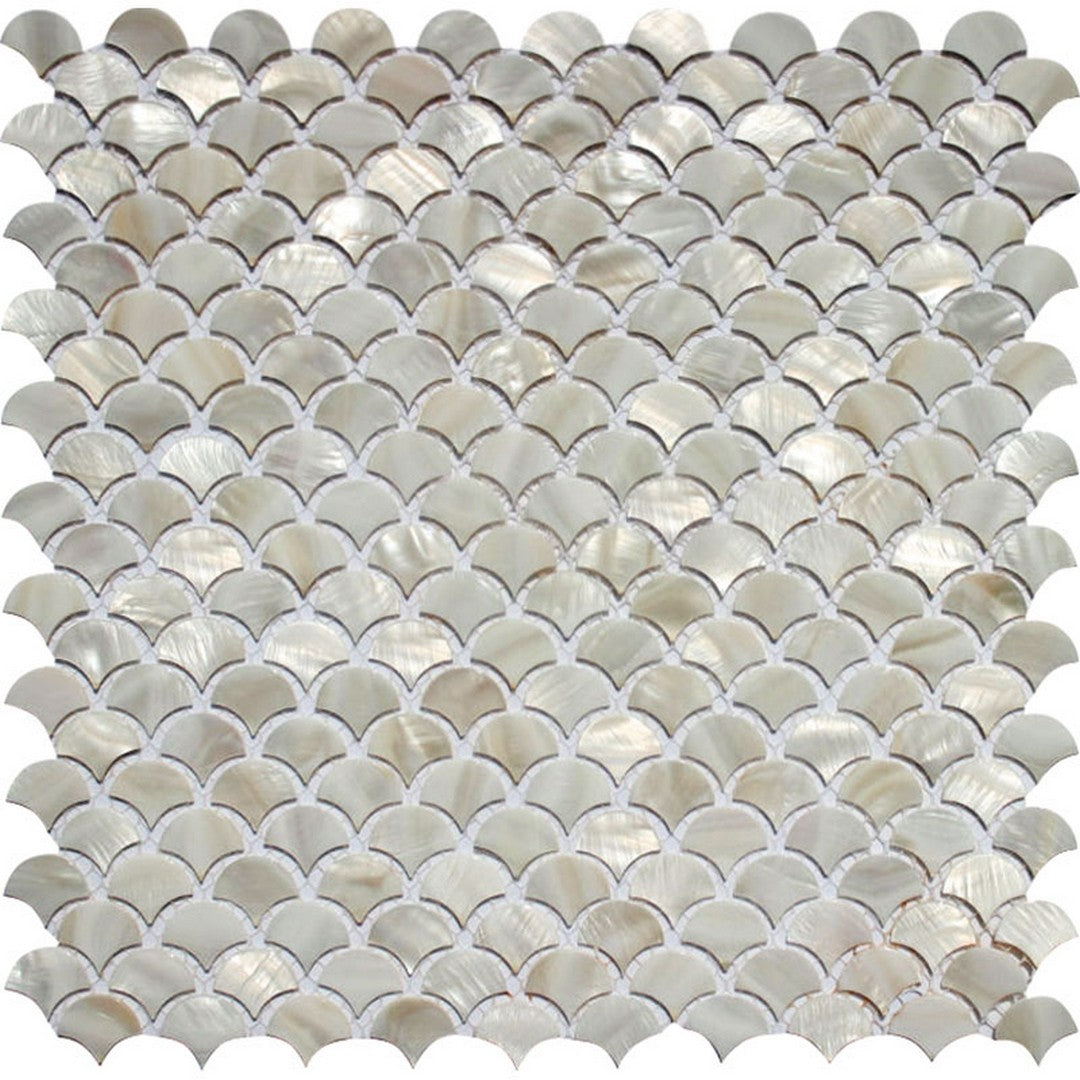 MiR Shell 11.8" x 11.8" Polished Shell Mosaic