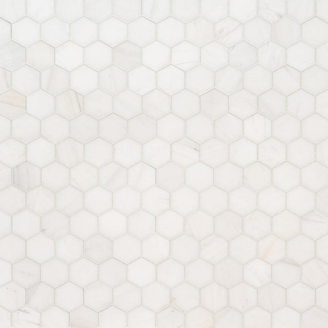 MS International Bianco Dolomite 12" x 12" Polished Marble Hexagon 2" Mosaic