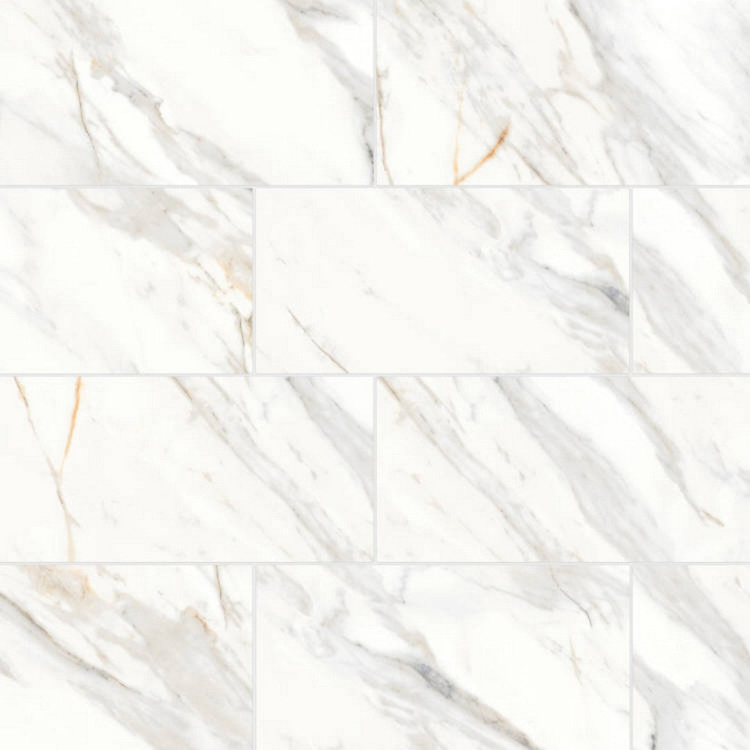 Bedrosians Shandar 12" x 24" Matte Glazed Porcelain Field Tile (Sale)