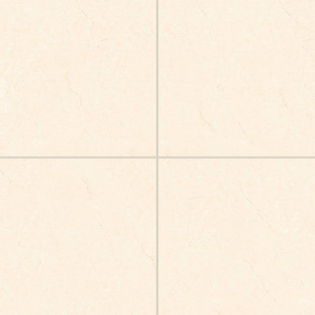 Bedrosians Shandar 24" x 24" Polished Glazed Porcelain Field Tile