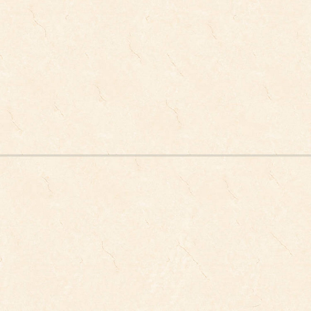 Bedrosians Shandar 24" x 48" Polished Glazed Porcelain Field Tile (Sale)