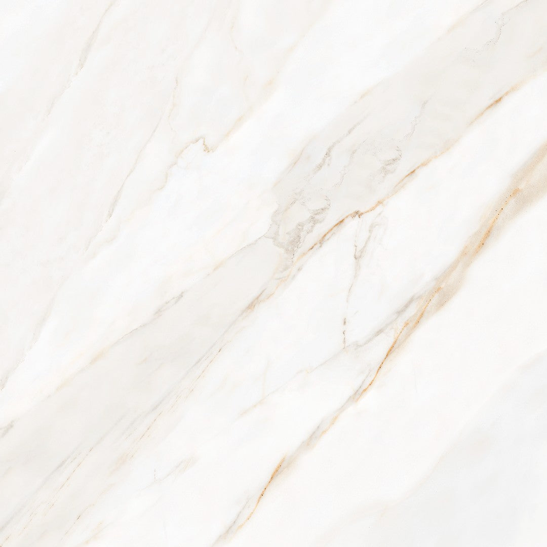 Tesoro Icaro 28" x 28" Matte Porcelain Tile