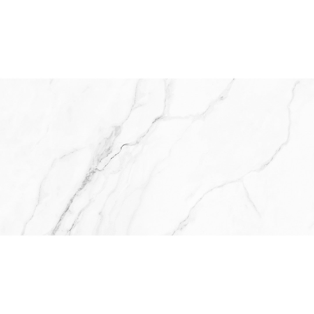 Tesoro Olimpo 12" x 24" Rectified Matte Porcelain Tile