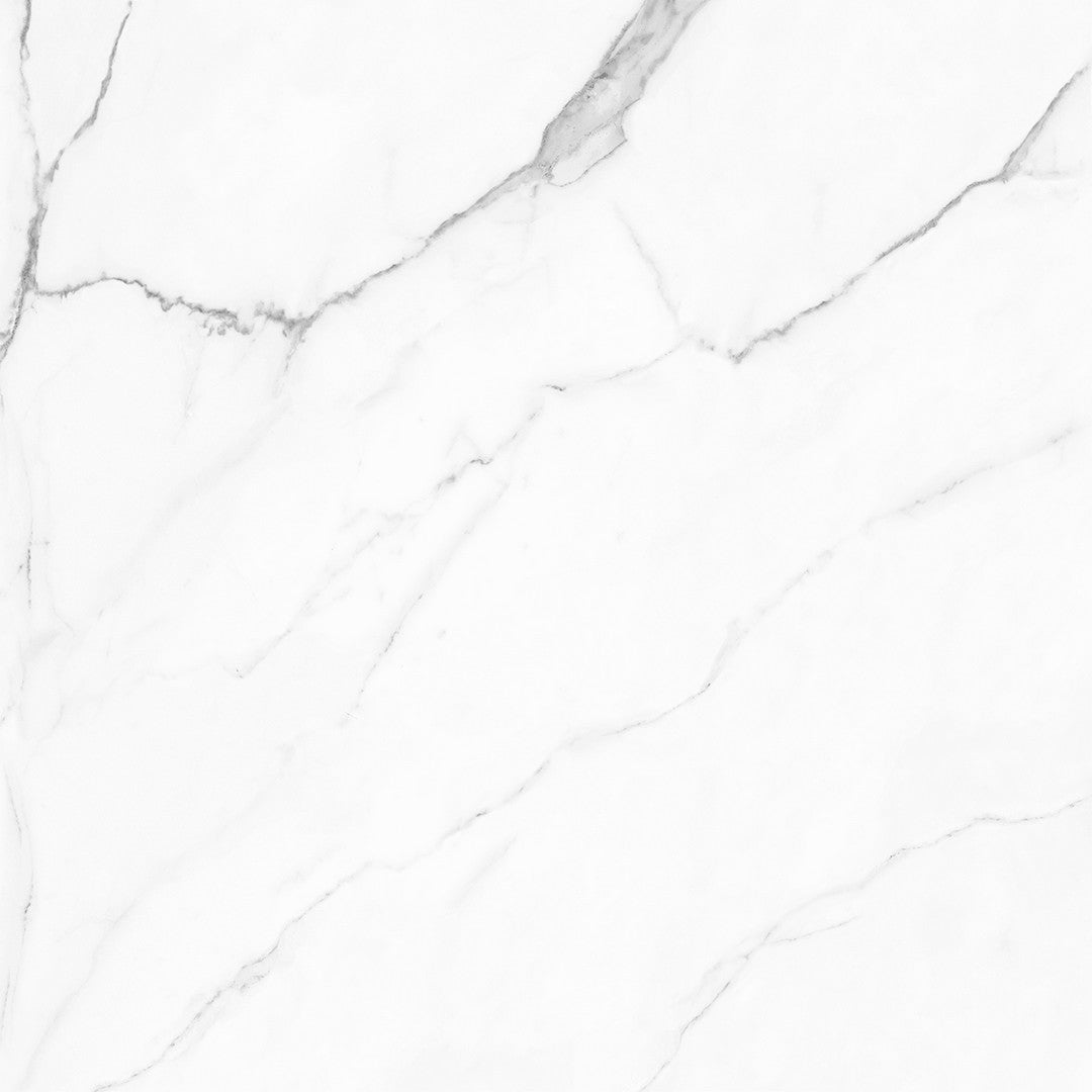 Tesoro Olimpo 28" x 28" Rectified Matte Porcelain Tile