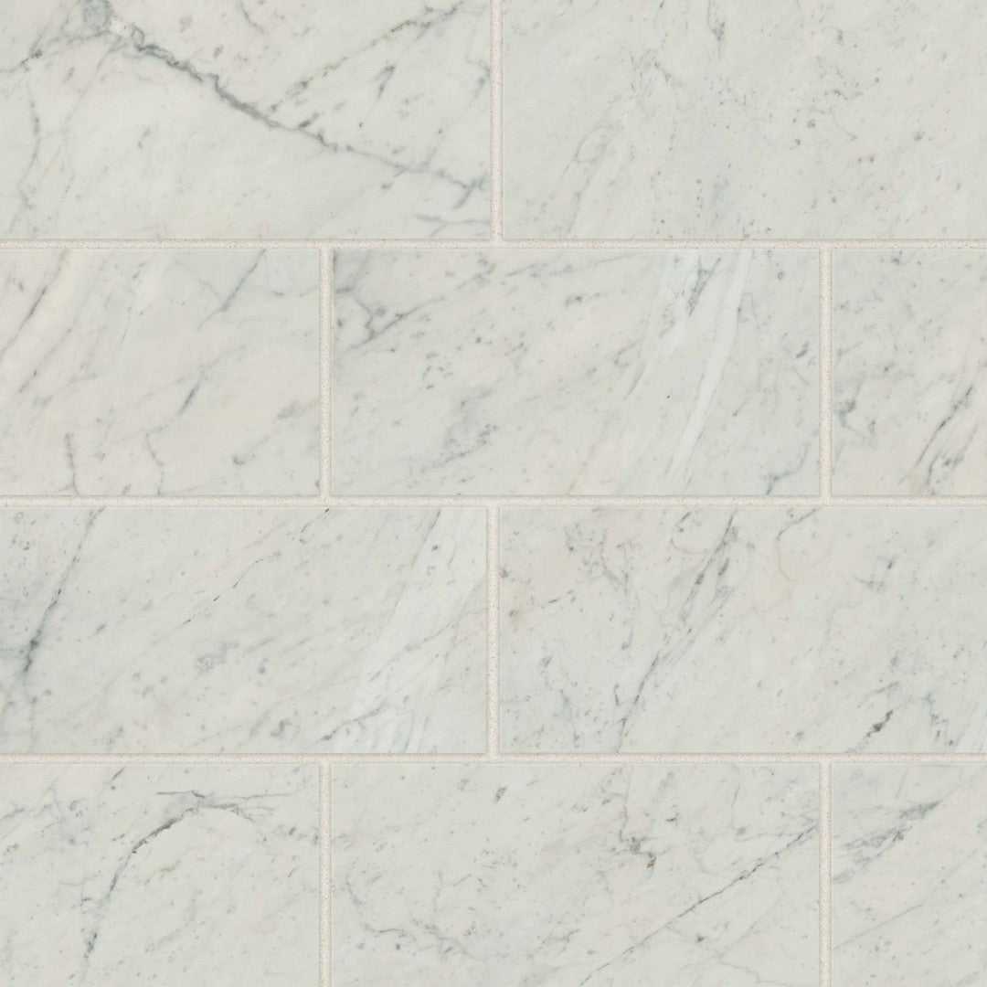 Bedrosians Classic 2.0 - 12" x 24" Polished Porcelain Field Tile (Sale)
