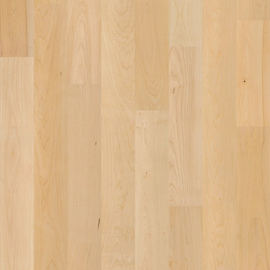 Shaw Natural Classics 5" Smooth Micro Bevel Hard Maple Engineered Hardwood Plank