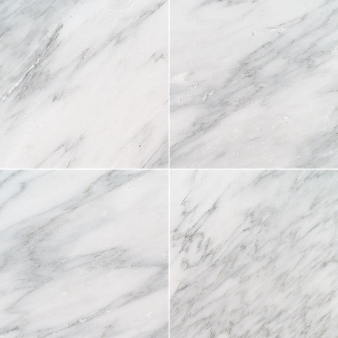 MS International Arabescato Carrara 12" x 12" Polished Marble Tile